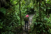 Une femme porte des bananes plantains vertes dans la réserve indigène El Gran Sabalo, près d'El Diviso, dans le département du Narino, en Colombie, le 31 août 2024