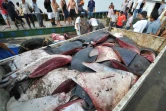Des pêcheurs réunis autour d'une raie manta coupée en morceaux à Taizhou dans l'est de la Chine le 3 août 2012