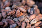 Des fèves de cacao dans les ateliers de la chocolaterie Makaya à Petionville (Haïti) le 23 décembre 2020