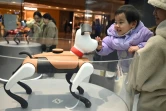 Un enfant interagit avec un chien de compagnie doté d'intelligence artificielle dans un magasin de l'entreprise technologique Weilan à Nanjing, dans la province du Jiangsu, le 9 janvier 2025 dans l'est de la Chine