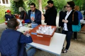 Distribution d'oeufs de coccinelles à Caen, le 12 mai 2017