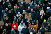 Manifestation contre le racisme et le parti Alternative pour l'Allemagne (AfD), le 28 janvier 2024 à Hambourg