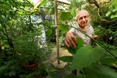 Le généticien Michael Moisseeff choisit des plantes dans son jardin à Montegut-Lauragais près de Toulouse, le 29 juillet 2020 pour reproduire l'odeur de la lune, une commande de la Cité de l'Espace à Toulouse