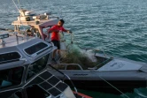 Un membre de la marine mexicaine détruit un filet de pêche illégale, dans le baie de San Felipe, sur les eaux du Golfe de Californie, au Mexique le 17 mars 2016