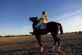 Un jockey détend son cheval avant de participer à la première course de chevaux de la saison à l'hippodrome de Biligoni, le 30 novembre 2024 au Tchad