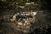 Vue aérienne de plusieurs maisons calcinées par de violents incendies à Pantelil, dans la banlieue nord-est d'Athènes (Grêce), le 13 août 2024