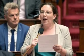 La cheffe de file des députés écologistes, Cyrielle Chatelain, s'adresse au gouvernement à l'Assemblée nationale à Paris, le 30 mai 2023