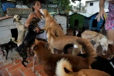 Noris Perez avec des chiens qu'elle a recueillis chez elle, le 29 septembre 2020 à La Havane, à Cuba