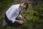 L'artiste écossaise Katie Paterson marque un arbre planté dans une forêt près d'Oslo, le 2 juin 2017, en Norvège