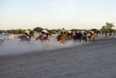 Des jockeys participent à la première course de chevaux de la saison à l'hippodrome de Biligoni, le 30 novembre 2024 au Tchad