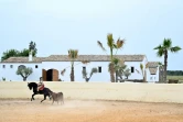 La torera française à cheval Léa Vicens, lors d'un entraînement dans sa finca près d'Hinojos, au sud de Séville, le 14 avril 2021 en Espagne