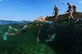 Un homme, membre du club "Jeunesse accumulée", nage dans une piscine d'eau de mer à La Havane, le 17 mai 2025