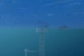 Vue sous-marine de la centrale de démonstration ETM avec sa tuyauterie et ses ancrages (Dcns)