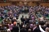 Les députés britanniques débattent du processus du Brexit, sur une photo extraite d'une vidéo fournie par les services du Parlement le 3 avril 2019