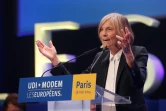 Marielle de Sarnez lors d'un meeting de l'UDI-MODEM avant les élections européennes, à La Plaine-Saint-Denis en Seine-Saint-Denis le 18 mai 2014