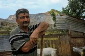Jamal, un chevrier, de l'autoproclamée République turque de Chypre du Nord (RTCN), pose avec ses bêtes devant les montagnes près de Degirmenlik, le 6 mai 2019