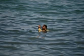 Un migrant nage vers le rivage de l'enclave espagnole de Ceuta, le 18 mai 2021