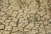 Un sol craquelé par la sécheresse dans la région agricole de Jaliha, dans le centre de l'Irak, le 26 avril 2022