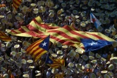 Des partisans de l'indépendance de la Catalogne dans les rues de Barcelone, le 11 septembre 2016 