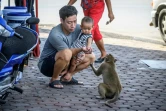 Un homme et son fils donnent une friandise à un macaque à Lopburi, le 20 juin 2020 en Thaïlande