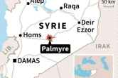 Syrie : reprise de Palmyre
