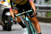 Le Slovène Primoz Roglic dans la descente de la 15e étape du Tour d'Italie vers Côme, le 6 mai 2019