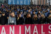 Manifestation en marge de la COP25 pour dénoncer l'impact de l'élevage industriel et la maltraitance des animaux, à Madrid le 7 décembre 2019