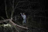 Le chasseur Tom Rahill cherche des pythons birmans dans le parc national des Everglades, le 9 août 2022 en Floride