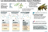 Les néonicotinoïdes, insecticides "tueurs d'abeilles"