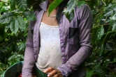 Une femme transgenre travaille dans une plantation de Santuario en Colombie, le 10 mai 2019
