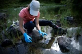 Pauline Benzi, étudiante, prélève des échantillons d'eau dans le lac Labant, le 23 juin 2022 à Aulus-les-Bains, en Ariège