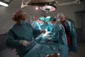 Des chirurgiens procèdent à la transplantation d'un rein pour le patient Juan Benito Druet, le 28 février 2017 à l'hôpital La Paz de Madrid
