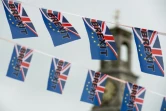 Des drapeaux pro-Brexit sur un bateau de pêche le 13 juin 2016 à Ramsgate (Royaume Uni)