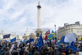 Manifestation des anti-Brexit à Londres, le 23 mars 2019