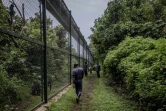 Des agents du centre surveillent les primates, le 14 février 2022