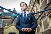 Le Premier ministre néerlandais Mark Rutte à La Haye, le 25 janvier 2021