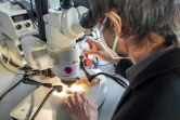 Eric Languillat, l'un des experts du laboratoire anti-contrefaçons de la Banque centrale européenne, vérifie au microscope un billet de 50 euros, le 22 décembre 2021 à Francfort, en Allemagne