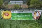 Une banderole avec l'image d'un kiwi (g), dans un champ de l'entreprise ReFruits, à quelques kilomètres de la centrale nucléaire sinistrée de Fukushima, le 24 avril 2025 à Okuma, au Japon