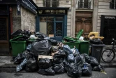 Des poubelles qui s'amoncellent à Paris, le 3 février 2020 à la suite d'une grève des éboueurs