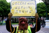 Manifestation de "gilets jaunes", à Amiens, le 25 mai 2019