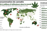 La consommation de cannabis