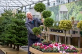 Robin Mercer, propriétaire de la chaîne de jardineries Hillmount Garden Centre, dans un de ses magasins à Belfast, le 30 novembre 2021