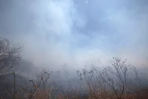 Vendredi 8 Octobre 2010

 Incendie à Cambaie -Saint-Paul