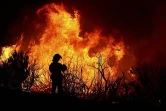 Incendie au Mïado photo image reunion.re