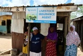 Le comptoir d'une agente en assurances de la Takafal Insurance, à Merille au Kenya, le 30 avril 2019