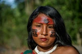 Sykyry Waiapi, une Indienne de la tribu des Waiapi en Amazonie, dont tous les membres enduisent leur peau de peintures naturelles censées avoir des vertus protectrices, le 14 octobre 2017