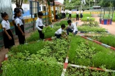 Des élèves s'occupent du potager de leur école, le 8 juillet 2022 dans la province de Siem Reap, au Cambodge