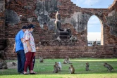 Des visiteurs regardent des macaques dans le temple bouddhiste Prang Sam Yod de Lopburi, en Thaïlande, le 20 juin 2020