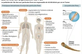 Les effets de la pollution de l'air