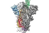 La structure moléculaire du virus 2019-nCoV, publiée par l'Université  du Texas à Austin Jason McLellan 